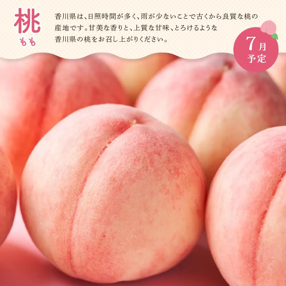 【定期便全3回】夏のいいとこどり定期便（7・8・9月） | フルーツ