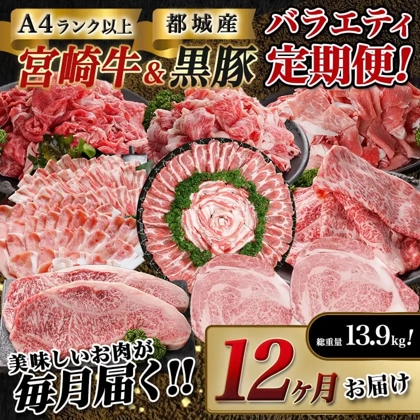 宮崎牛&黒豚 まるゆうバラエティ定期便(12ヶ月)〔TAC12-N401〕_(都城市) 国産 宮崎牛 黒毛和牛 ローススライス サーロインステーキ 切り落とし 霜降り 赤身 黒豚 しゃぶしゃぶ 定期便 牛肉 豚肉 TAC12-N401 宮崎県都城市