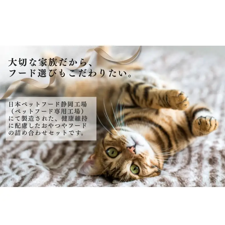キャットフード ビューティプロ 機能性 セット キャットフード
