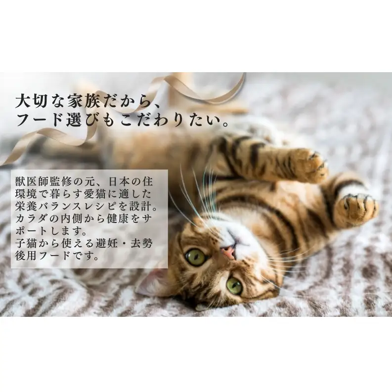 日本ペットフード ビューティープロ キャット 避妊・去勢後用 1.4kg（280g×5袋入）×8袋（ケース） キャットフード