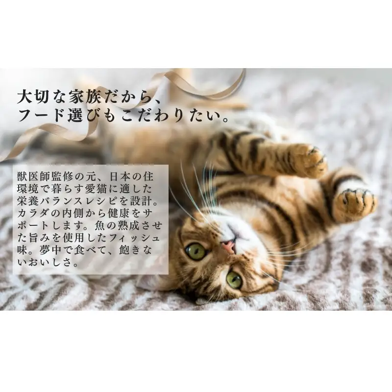 キャットフード ビューティープロ 下部尿路の健康維持 キャットフード