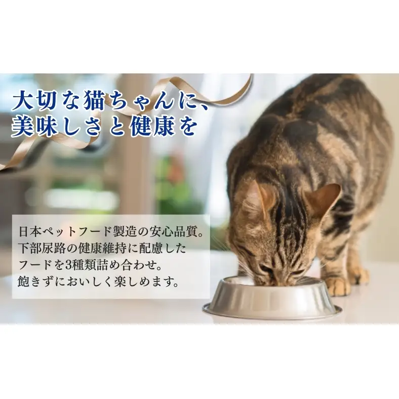 キャットフード コンボ 下部尿路の健康維持 アソート キャットフード
