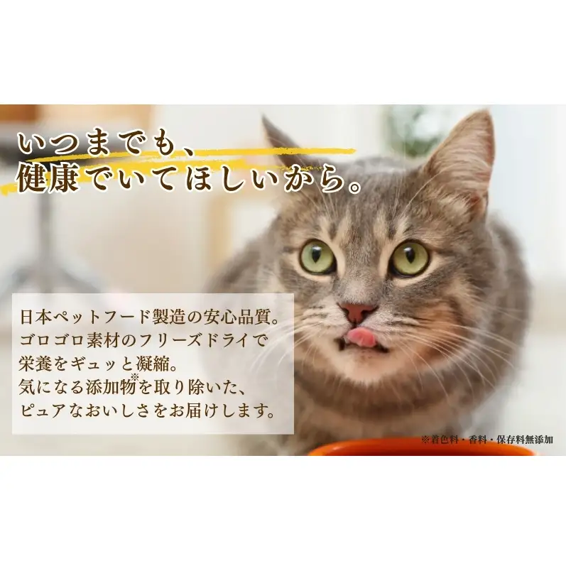 キャットフード コンボ ピュア ドライ まぐろ味 鶏肉 キャットフード