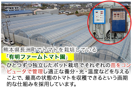超絶トマットロケチャップ(200g×4個)　四ツ山食品《45日以内に出荷予定(土日祝除く)》 st-p