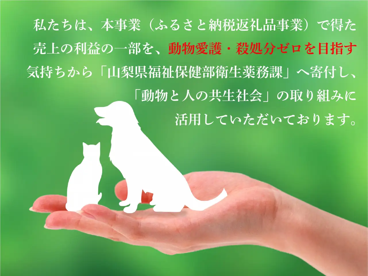 【ふるなびWEEK対象】シャインマスカット 約3.0kg（5～6房）山梨県甲州市 産地直送【2026年発送】（ORJ）C5-802