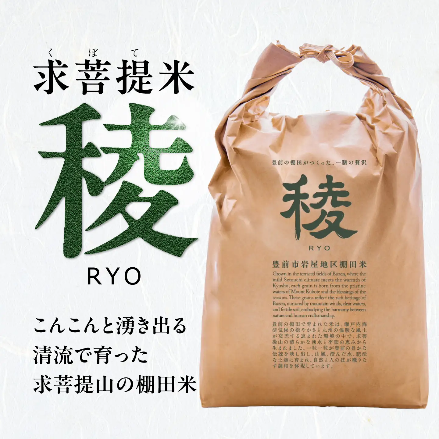 【全6回定期便】 求菩提米 夢つくし 10kg (5kg×2袋) VCO010 新米 定期便