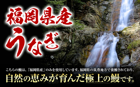 福岡県産 うなぎ 2尾  (1尾当たり：140g-180g) 国産 株式会社HOMIE 《45日以内に出荷予定(土日祝除く)》