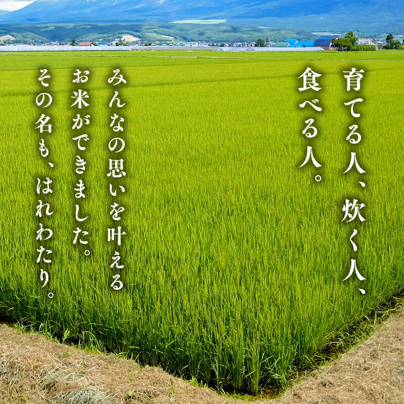 はれわたり白米 10kg 特A米 特A 青森県産[hi-0002-004]