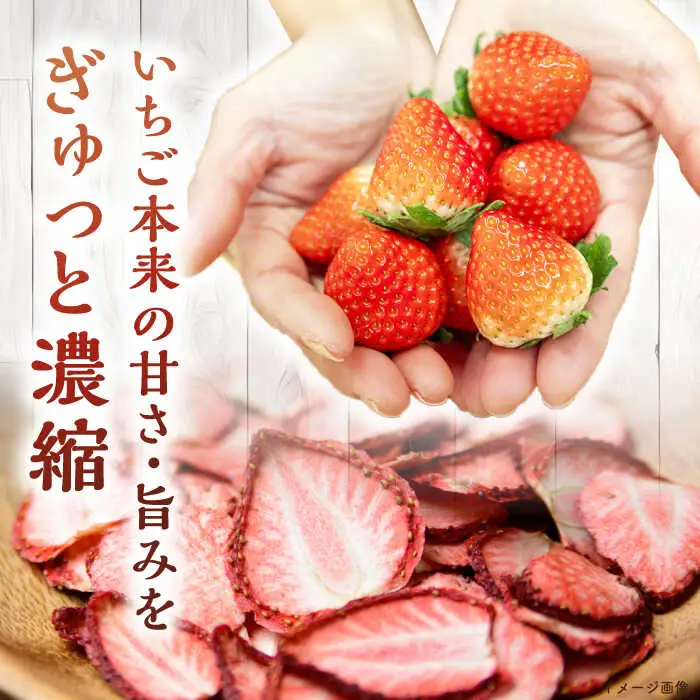 ドライ な いちご 20g×3 《壱岐市》【蒼花】 [JEO006]