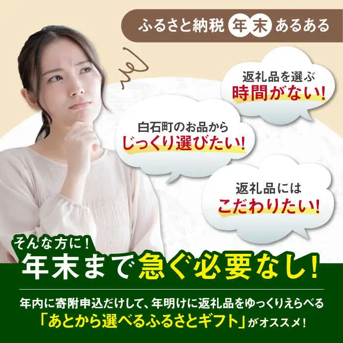 【あとから選べる】佐賀県白石町ふるさとギフト 100万円分 / あとから [IZY019]