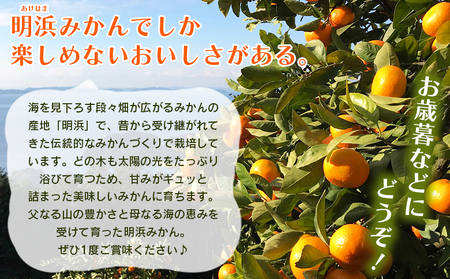 ＜みかん（南柑20号）贈答用 約10kg＞ 果物 くだもの フルーツ ミカン 柑橘 なんかん20ごう ナンカン20ゴウ 温州みかん うんしゅうみかん 贈答 ギフト プレゼント 特産品 株式会社笑丸 愛媛県 西予市【常温】『2026年12月上旬～2027年1月上旬迄に順次出荷予定』AAN0051