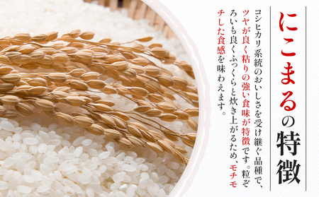 令和7年産 米 にこまる 約10kg (10kg×1袋) こめ コメ 白米 西川農園《30日以内に出荷予定(土日祝除く)》 熊本県 荒尾市 米 白米 こめ 