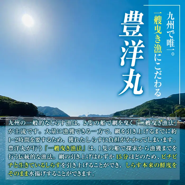 豊洋丸の鮮度抜群！ 生しらすセット (計200g・100g×2個) 【HK01】【OITAしらすhoyomaru豊洋丸】