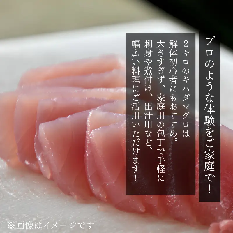 キハダマグロ 1尾 下処理済み 和歌山県すさみ町産 / マグロ 丸ごと 魚 捌く 鮪 海鮮丼 寿司 手巻き寿司 漬け丼 海鮮 海の幸 魚介 新鮮 刺身 和歌山 すさみ町 キハダマグロ 大容量 【scp123】 