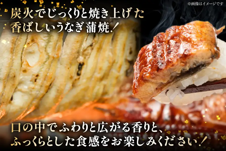 うなぎ 国産 うなぎ蒲焼 2尾 660g 各330g