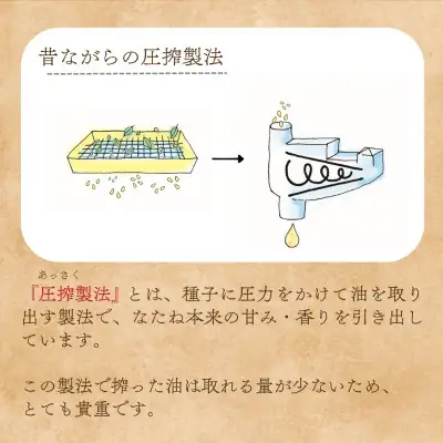 油 菜種油 なたね油 600g 12本
