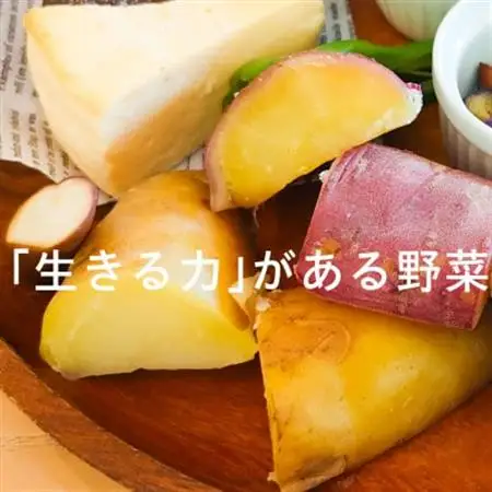 【フードロス対応・規格外】有機ジャガイモ 3kg　訳あり    季節限定(12～3月発送)【配送不可地域：離島・北海道・沖縄県】【1568581】