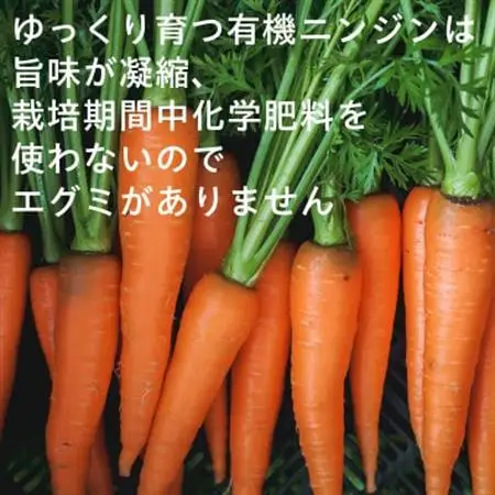 【フードロス対応・規格外】有機ニンジン  訳あり   冬季限定(12～3月発送)【配送不可地域：離島・北海道・沖縄県】【1568583】