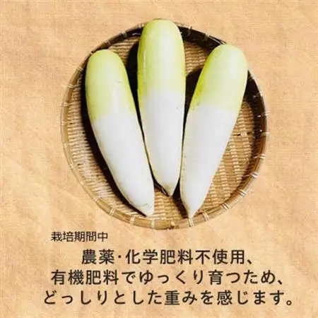【フードロス対応・規格外】　有機大根　訳あり　有機JAS　冬季限定(12～3月発送)【配送不可地域：離島・北海道・沖縄県】【1568591】