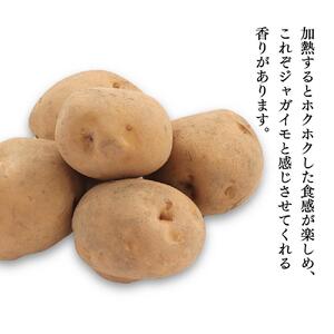 【先行予約】“ホクホク”男爵いも4kg・“甘みたっぷり”玉ねぎ4kg★8kgセット★(2026年9月下旬から発送開始) | 玉ねぎ_04758