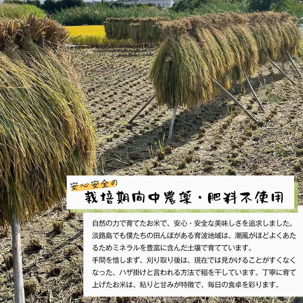 【定期便6ヶ月】自然栽培　ひのひかり（白米）　5kg