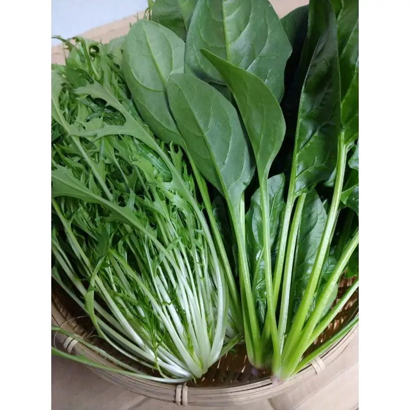 【野菜】京都 冬鍋野菜セット 4種