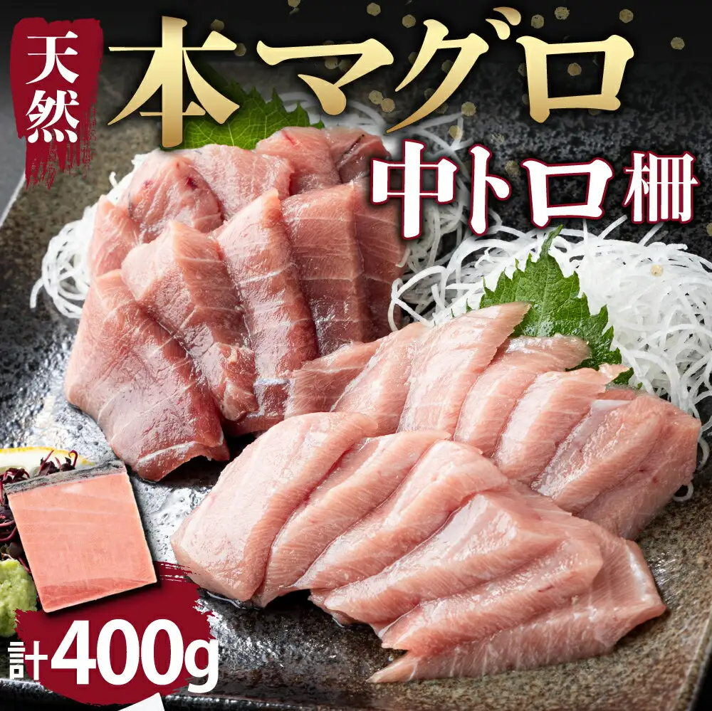 厳選！ 天然本まぐろ 中トロ  ４００ｇ お刺身用 天然まぐろ 天然マグロ まぐろ 鮪 刺身 お刺身 サク 柵 高知 室戸 冷凍 瞬間冷凍 小分け 便利 父の日 