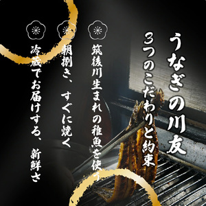 AK011_【冷蔵発送】朝開き国産うなぎ 当日発送２尾（1尾あたり約200～230ｇ） 蒲焼・味噌焼き 国産鰻 ウナギ