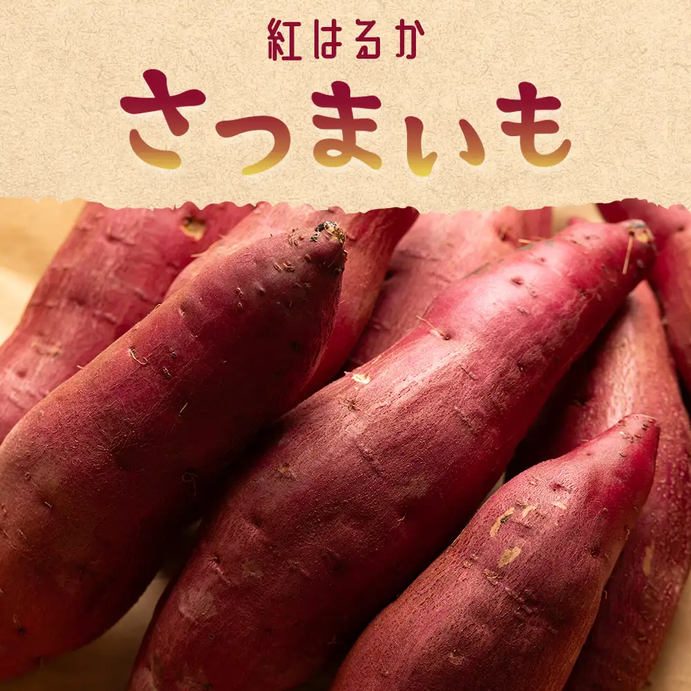 さつまいも(紅はるか) Lサイズ 5kg【さつまいもさつまいもさつまいもさつまいもさつまいもさつまいもさつまいもさつまいも】 at-0062