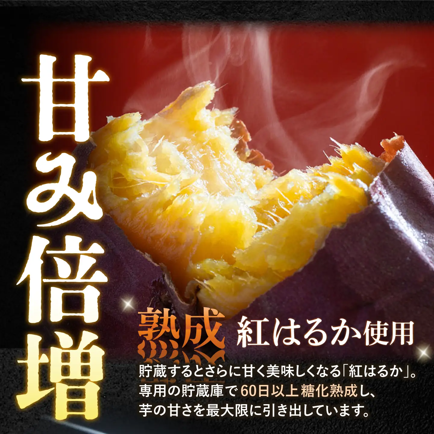  訳あり 平干し 干し芋 計660g | CDA063 干し芋