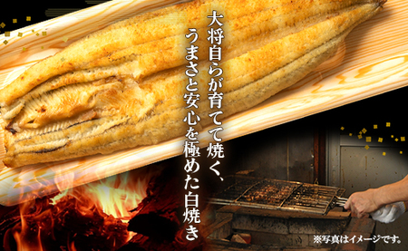 【6回定期便】 国産 うなぎ 白焼き 120g 1尾(無頭)  【 うなぎ 白焼き 国産 うなぎ 白焼き 定期便 うなぎ 白焼き 厳選 うなぎ 白焼き 】 Wun-0081