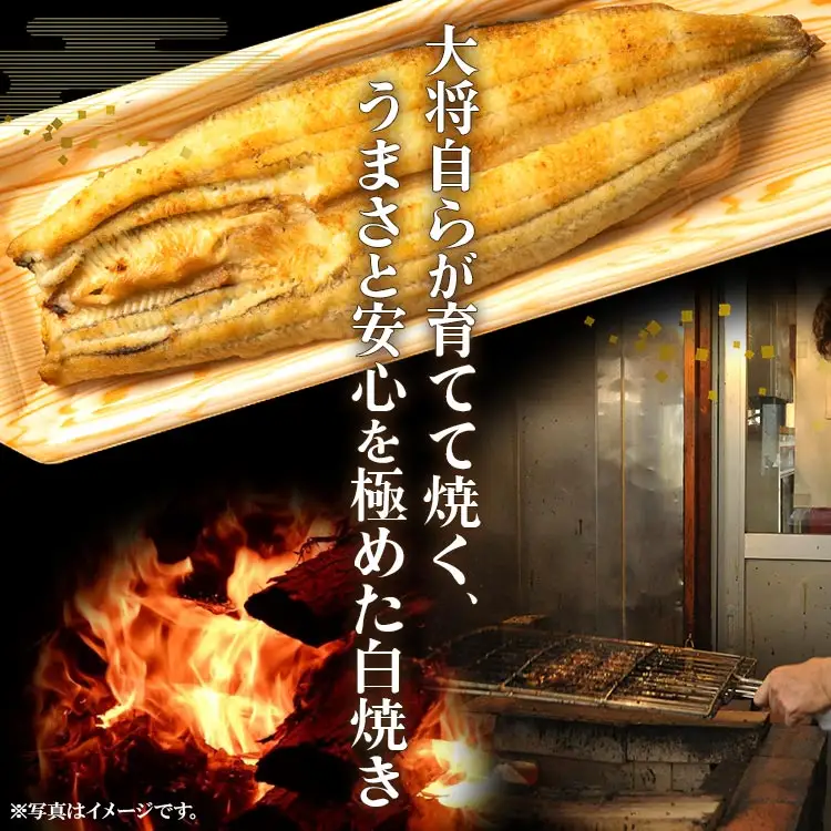 【12回定期便】うなぎ白焼き120g 1尾(無頭) 白焼き Wun-0082