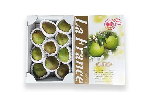 【令和8年産先行予約】 ラ・フランス 約3kg (10～11玉 秀 3L以上) 《令和8年11月上旬～発送》 『田口農園』 ラフランス 西洋梨 洋なし 果物 フルーツ デザート 山形県 南陽市 [1288-R8]