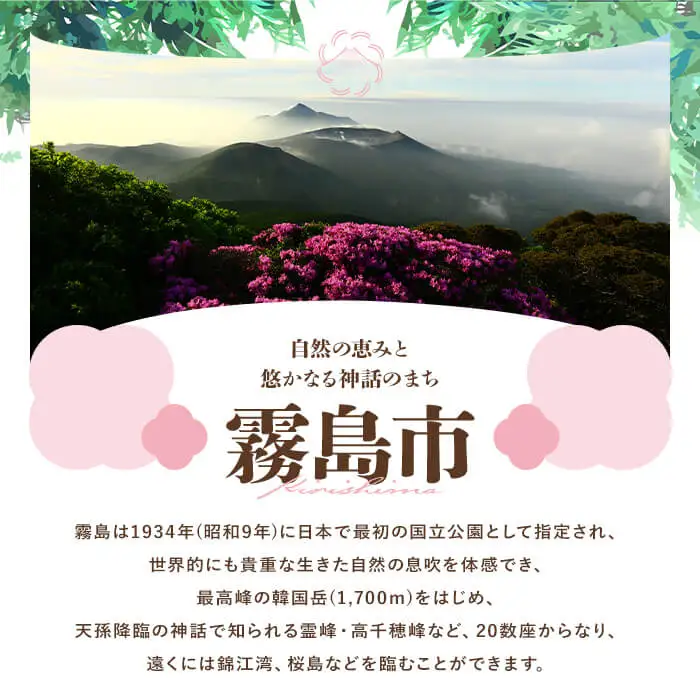 K-415 鹿児島県霧島市の対象ツアーに使えるHISふるさと納税クーポン(30,000円分)【エイチ・アイ・エス】霧島市 旅行 ツアー 観光 トラベル 旅 チケット 電子クーポン 旅行券