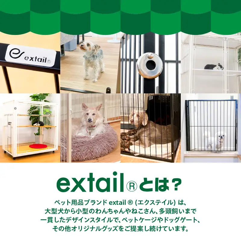 「 大型犬用 」 ペットケージ 9Mメッシュ2連結Wドア（ 赤 ） K319-004_03