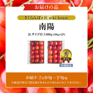 さくらんぼ 600g 南陽 2Lサイズ以上 サクランボ