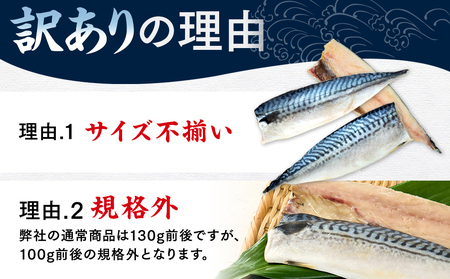【定期便 隔月3回】 塩サバフィレ 計:9kg ※1回あたり3kg 冷凍 鯖 塩 さば 魚 塩さば さかな 海産物 おかず 鯖ご飯 魚介 海鮮 惣菜 塩サバ 塩鯖 焼き鯖 サバ 焼きさば 焼さば 南知多 定期便 人気 おすすめ 愛知県 南知多町