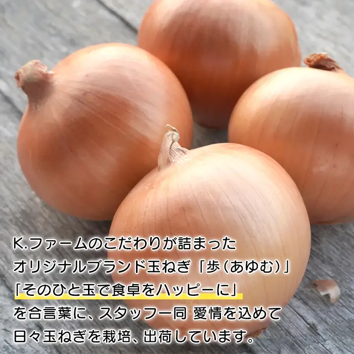 【定期便12ヶ月】淡路島たまねぎ 歩-AYUMU- 5kg　玉ねぎ