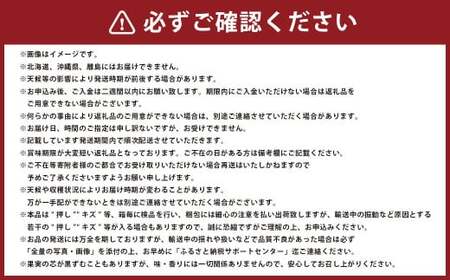あたご梨 2玉 約1.8kg 【2026年11月下旬～12月下旬迄順次発送予定】 フルーツ 果物 くだもの 梨 ナシ なし 国産