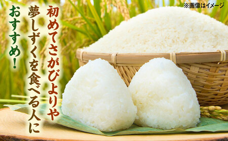令和7年産米 さがびより・夢しずく 2種食べ比べ 計10kg /株式会社 y’s company（utsu和ya）[UDX021] 白米