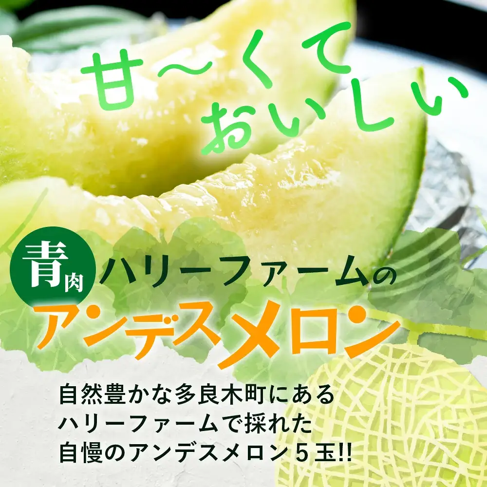 【2027年5月上旬～発送】アンデスメロン 青肉 5玉 (合計 約4.5～5kg) 先行予約 熊本県 多良木町産 果物 フルーツ メロン 先行予約 5個 青肉 ミツバチ交配 期間限定 数量限定 109-0501