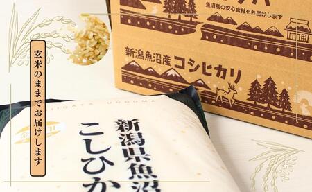 【令和7年産】魚沼産コシヒカリ金印(玄米)5kg 米 お米 こしひかり 玄米 中魚沼 新潟県 十日町市