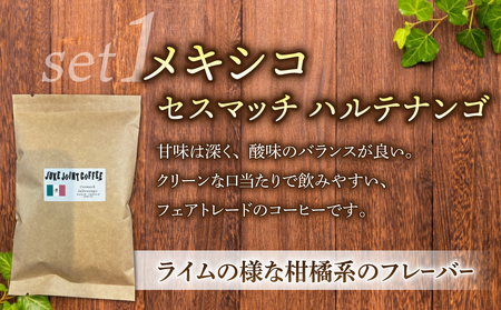 【豆のまま】産地違いコーヒー豆　3種類飲み比べ （メキシコ/東ティモール/ブラジル）各100g｜テルミナリアコーヒー コーヒー豆ドリップコーヒーレギュラーコーヒー