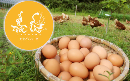 最高こだわりプレミアムセット 卵