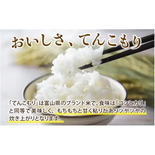 山県滑川産「てんこもり」与文のお米（精米10kg）産地直送 袋 精米10kg おにぎり お米 白米 国産 ご飯 ごはん 富山県 滑川市 アグリめぐみ B-050002