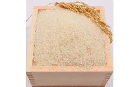 東北町産　はれわたり　精米10kg　2か月定期便　計20kg　【02408-0099】