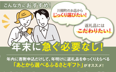 【あとから選べる】川棚町ふるさとギフト 30万円分　長崎県 川棚町[OZZ021]