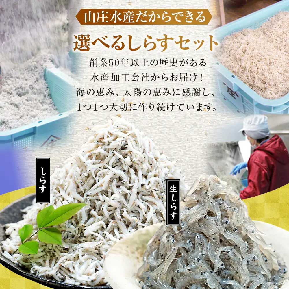 生しらす 400g 訳あり しらす干し 1kg セット 冷凍 刺身 真空パック 山庄