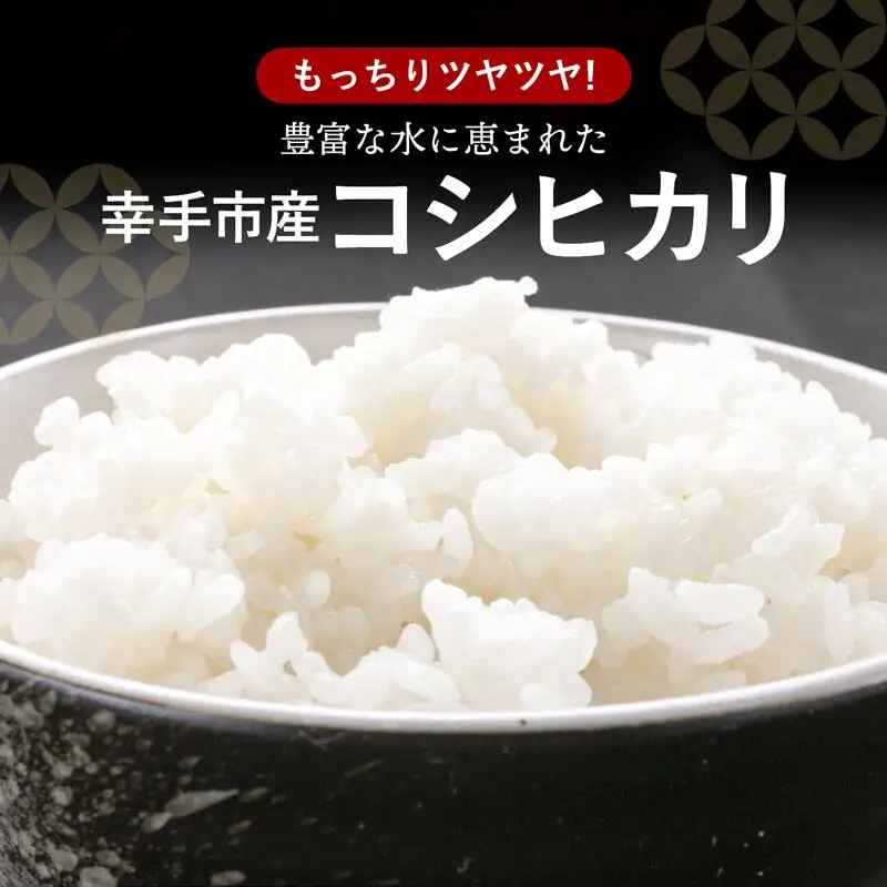 令和6年度産 コシヒカリ 5kg - こしひかり 5kg 令和6年産 精米 埼玉県 幸手市 幸手市産