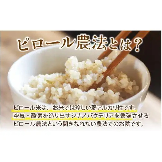 【12ヶ月定期便】富山県滑川産 弱アルカリ性米「ピロール農法米 コシヒカリ」（玄米5kg）×12回 計60kg 与文のお米 産地直送 こしひかり おにぎり お米 白米 国産 ご飯 ごはん 滑川市 ピロール アグリめぐみ 頒布会  アトピー 米